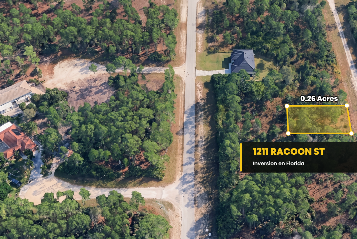 1211 Racoon St