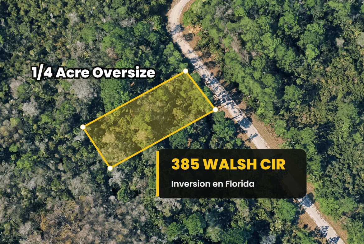 385 Walsh Cir