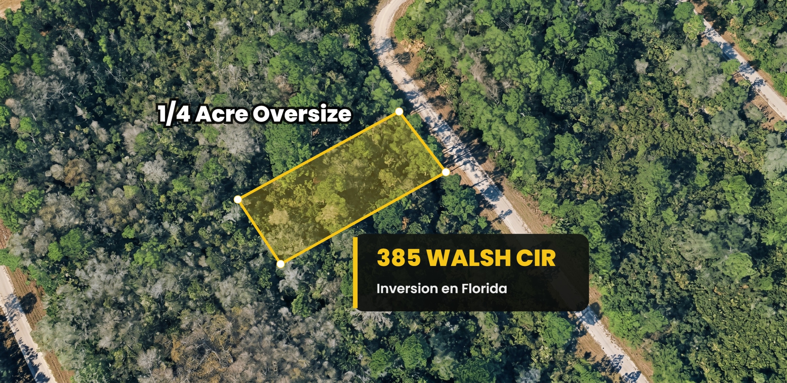 385 Walsh Cir